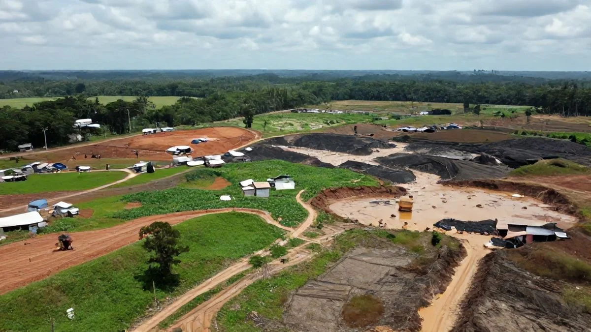 Rompimento da Barragem de Brumadinho: Impactos e Causas